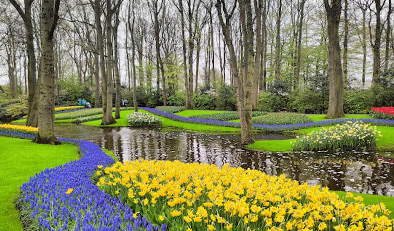 Catering Noordwijkerhout