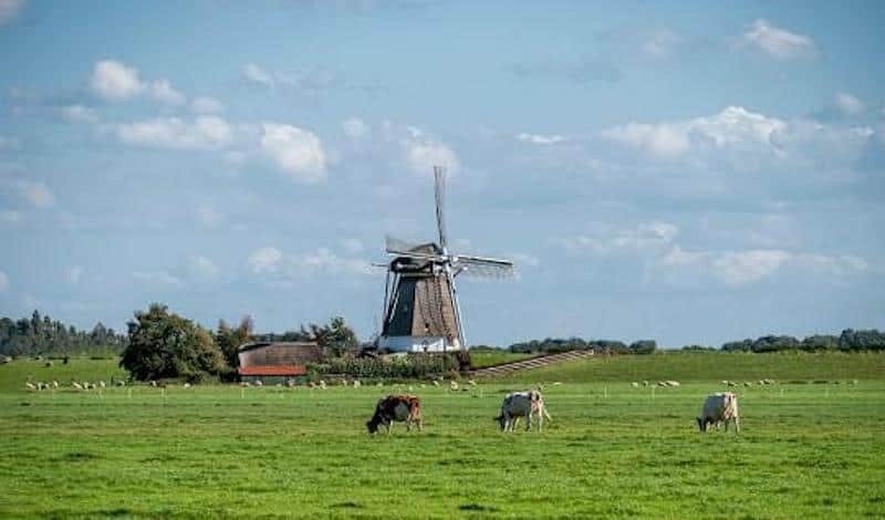 Catering Rijpwetering