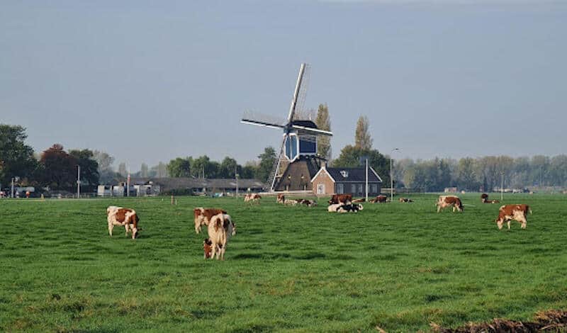 Catering Zoeterwoude-Rijndijk