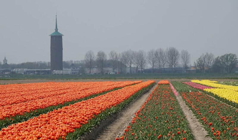 Catering Sommelsdijk